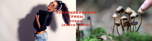 ГАЛЛЮЦИНОГЕННЫЕ ГРИБЫ Мегион