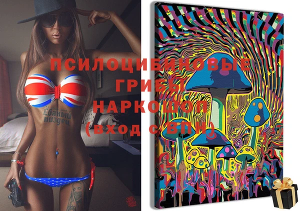 ГАЛЛЮЦИНОГЕННЫЕ ГРИБЫ Мегион