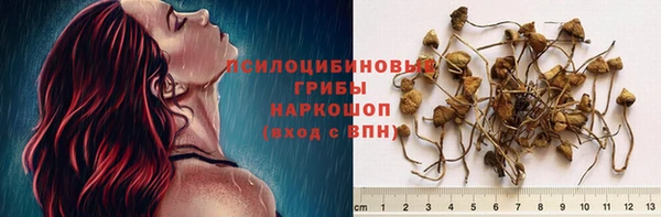 дживик Медвежьегорск