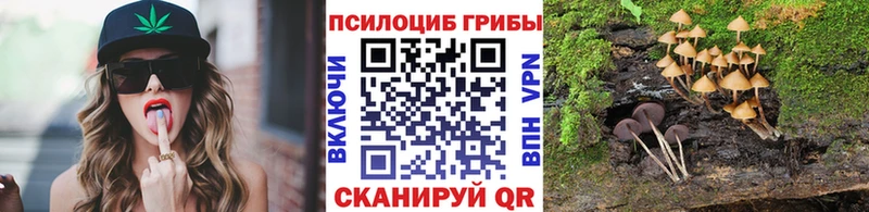 Купить где  Петропавловск-Камчатский  Галлюциногенные грибы мицелий